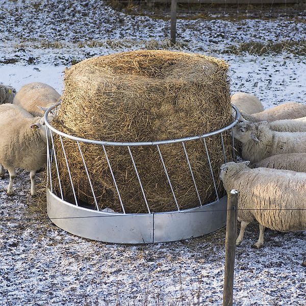 Kellfri MD Kellfri Rundraufe für Schafe 1,7 m andet foderudstyr